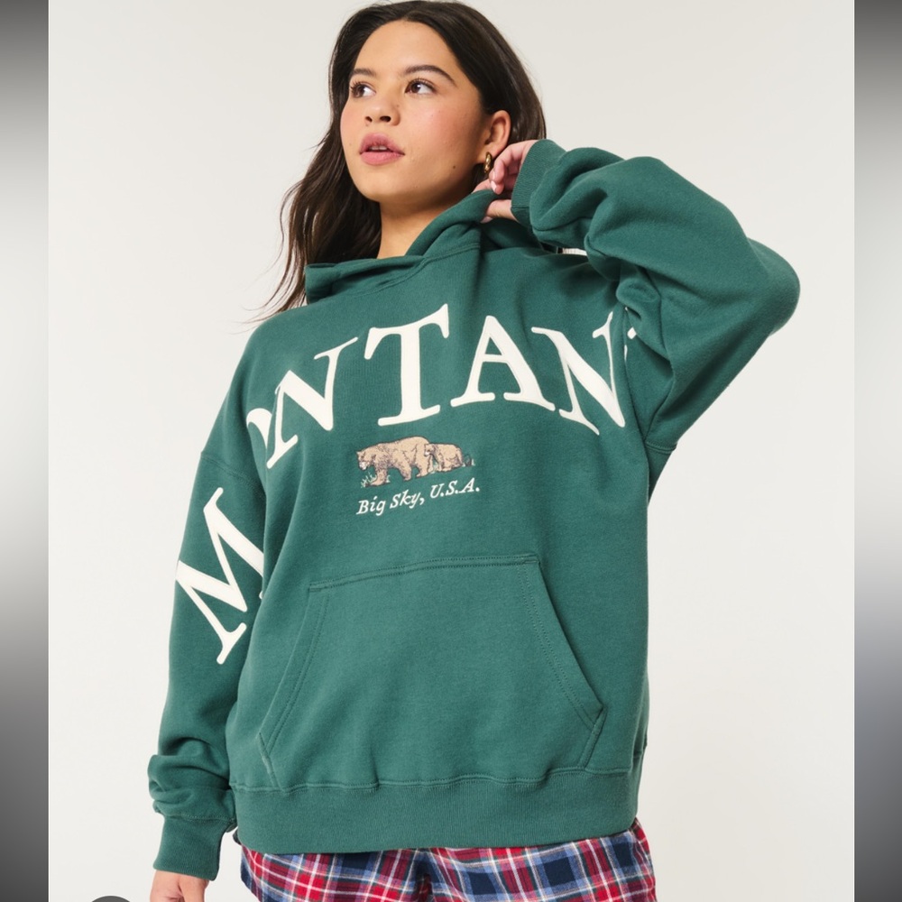 Hollister Green Graphic Sweatshirt